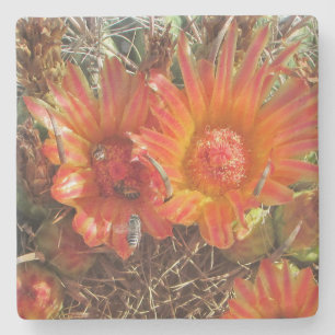 Blume Foto mit Bienen Bright Orange Cactus Blooms Steinuntersetzer