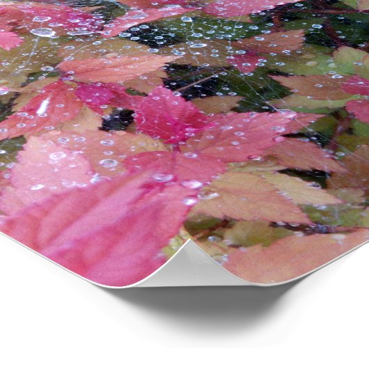 Blume Foto Poster (Ecke)