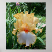 Blume-Foto Poster (Vorne)