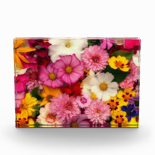Blume Fotoblock (Vorderseite)