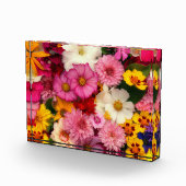 Blume Fotoblock (Rechts)