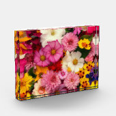 Blume Fotoblock (Links)