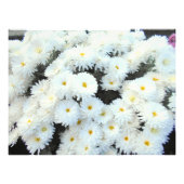 Blume Fotodruck (Vorne)