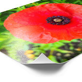 Blume Fotodruck (Ecke)