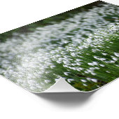 Blume Fotodruck (Ecke)