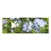 Blume Fotodruck (Vorne)