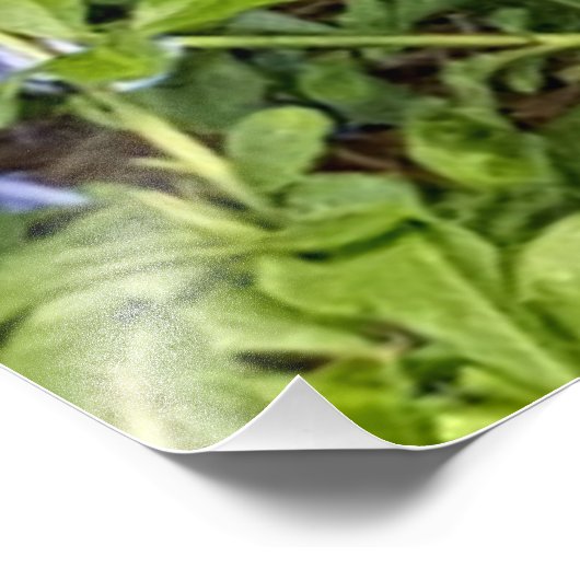 Blume Fotodruck (Ecke)