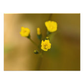 Blume Fotodruck (Vorne)