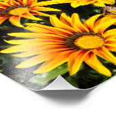 Blume Fotodruck (Ecke)