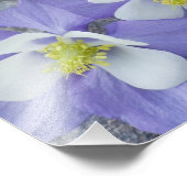 Blume Fotodruck (Ecke)