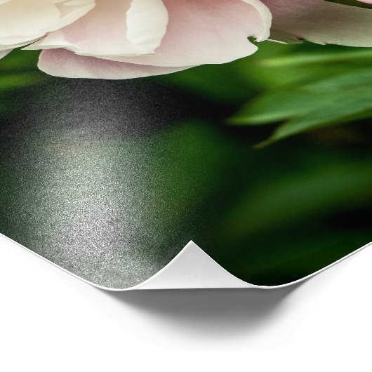 Blume Fotodruck (Ecke)