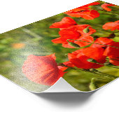 Blume Fotodruck (Ecke)