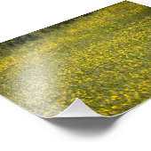 Blume Fotodruck (Ecke)