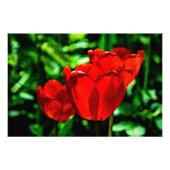 Blume Fotodruck (Vorne)