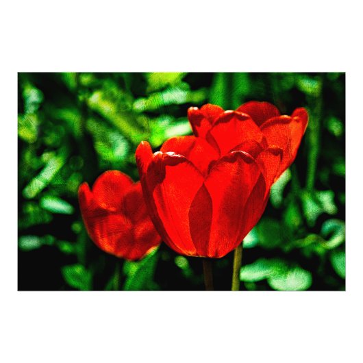 Blume Fotodruck (Vorne)