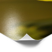 Blume Fotodruck (Ecke)