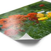 Blume Fotodruck (Ecke)