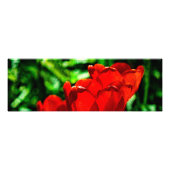 Blume Fotodruck (Vorne)