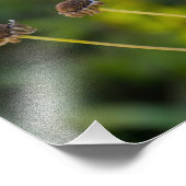 Blume Fotodruck (Ecke)