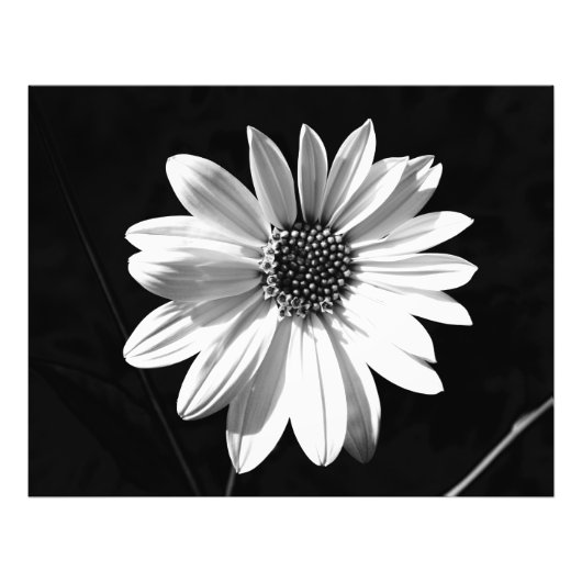 Blume Fotodruck (Vorne)