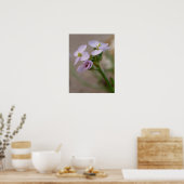 Blume Fotodrucke Poster (Küche)