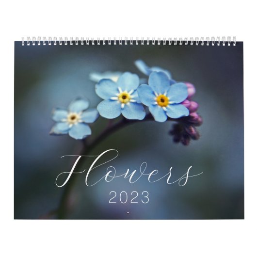 Blume Fotografie 2023 Kalender (Titelbild)