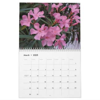 Blume Fotografie Kalender