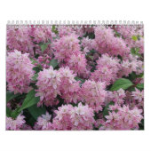 Blume Fotografie Kalender (Titelbild)