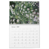 Blume Fotografie Kalender (Jan 2027)