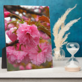 Blume Fotoplatte (Seite)