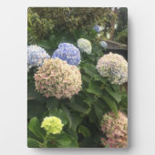 Blume Fotoplatte (Vorderseite)