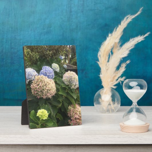 Blume Fotoplatte (Seite)