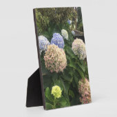 Blume Fotoplatte (Seite)