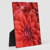 Blume Fotoplatte (Seite)