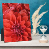 Blume Fotoplatte (Seite)