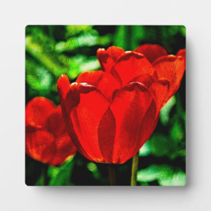 Blume Fotoplatte