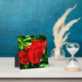 Blume Fotoplatte (InSitu)