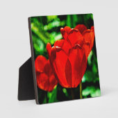 Blume Fotoplatte (Vorderseite)