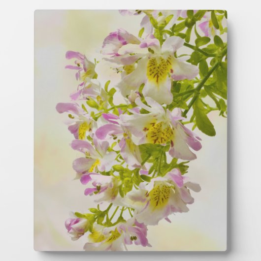 Blume Fotoplatte (Vorderseite)