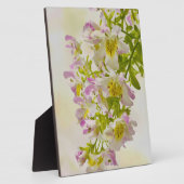 Blume Fotoplatte (Seite)