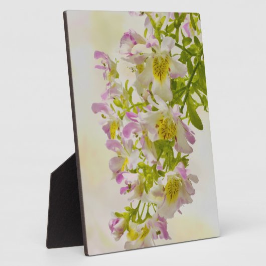 Blume Fotoplatte (Seite)