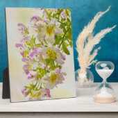 Blume Fotoplatte (Seite)