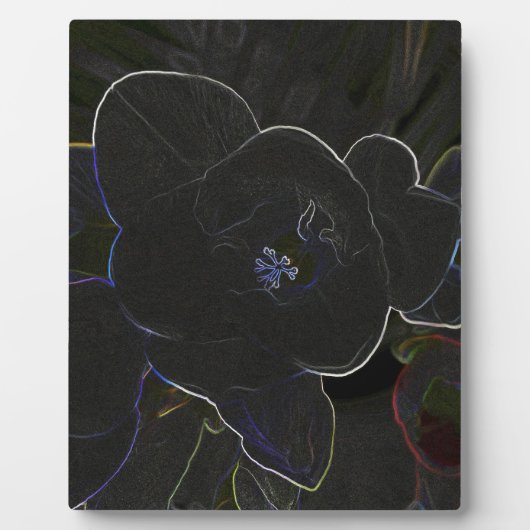 Blume Fotoplatte (Vorderseite)