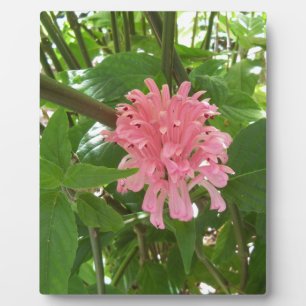Blume Fotoplatte