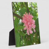 Blume Fotoplatte (Seite)