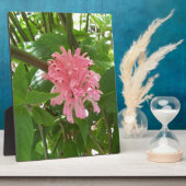 Blume Fotoplatte (Seite)