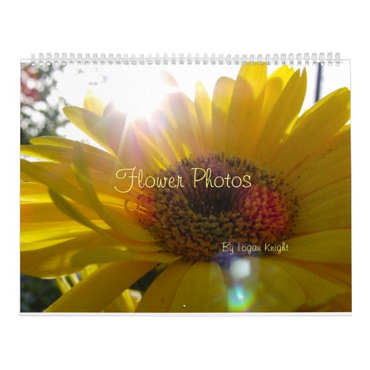 Blume-Fotos für jeden Kalender (Titelbild)