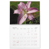 Blume-Fotos für jeden Kalender (Jan 2026)