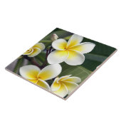 Blume Frangipani Fliese (Seite)
