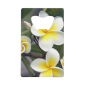 Blume Frangipani Geldkarten Flaschenöffner (Rückseite)